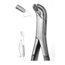Extracting Forcep Upper Molars Universal #24