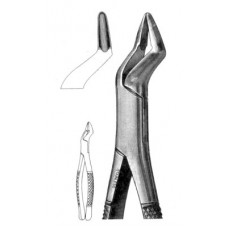 Extracting Forcep Upper Cuspids, Bicuspids & Molar