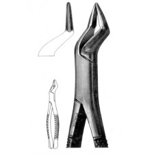 Extracting Forcep Upper Cuspids, Bicuspids & Molar