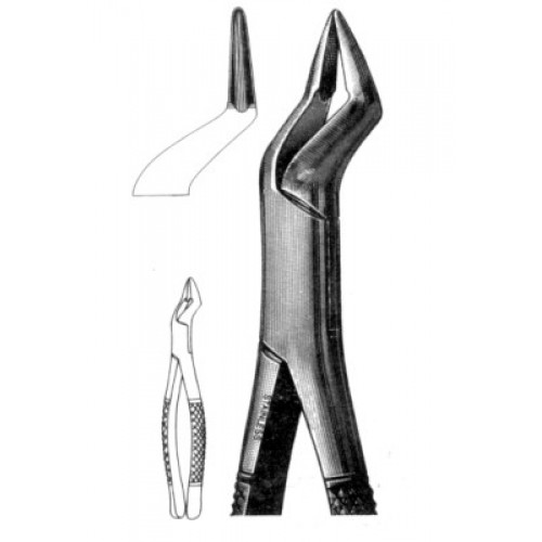 Extracting Forcep Upper Cuspids, Bicuspids & Molar