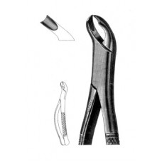 Extracting Forcep Molars, Left # 90 Cook