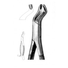 Extracting Forcep 3rd Upper Molars, Universal, Hoo