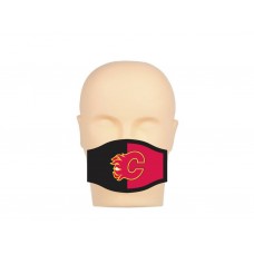 Face Mask-DSI-FM1013